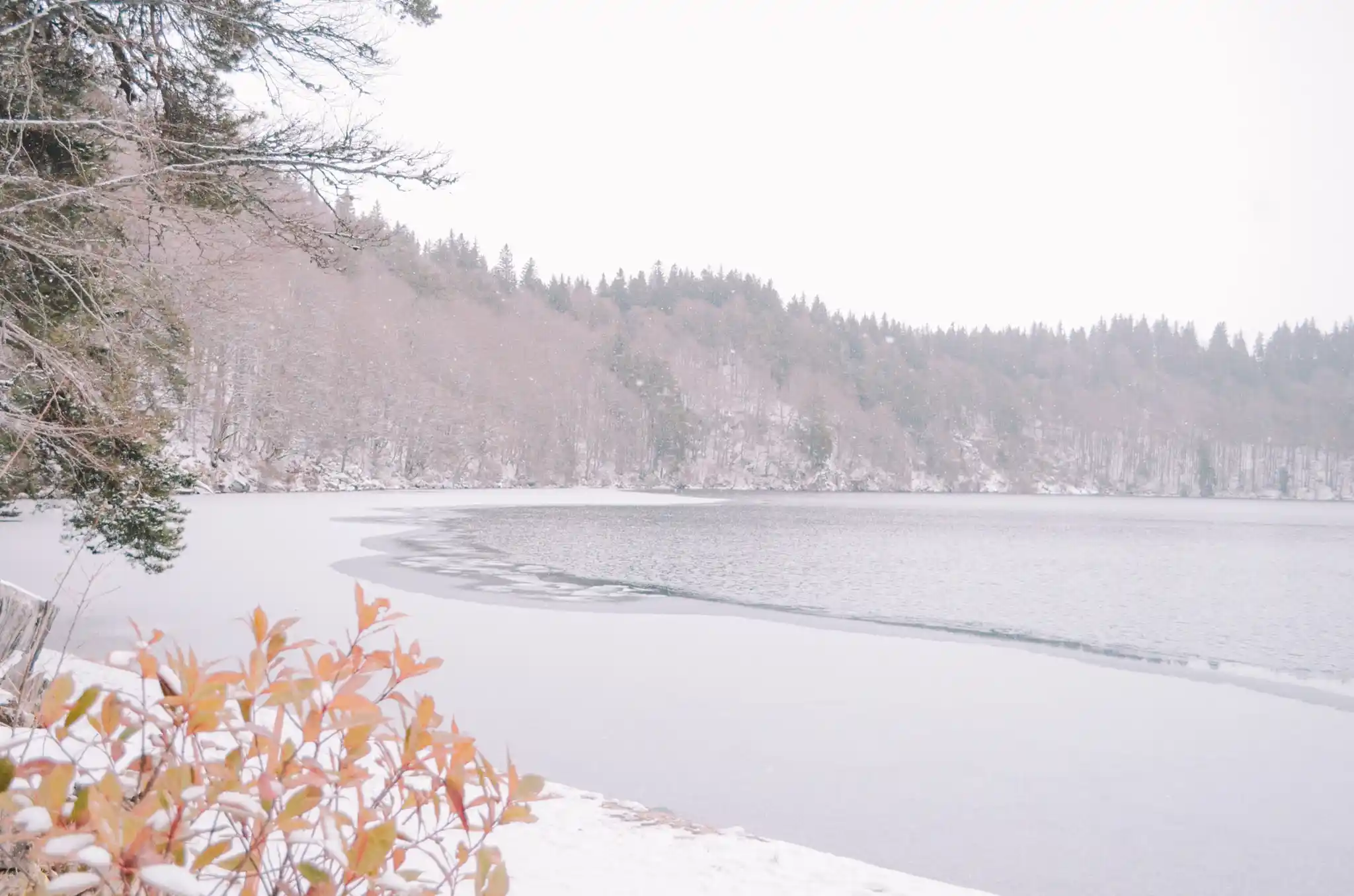 lac Pavin gelé, Auvergne