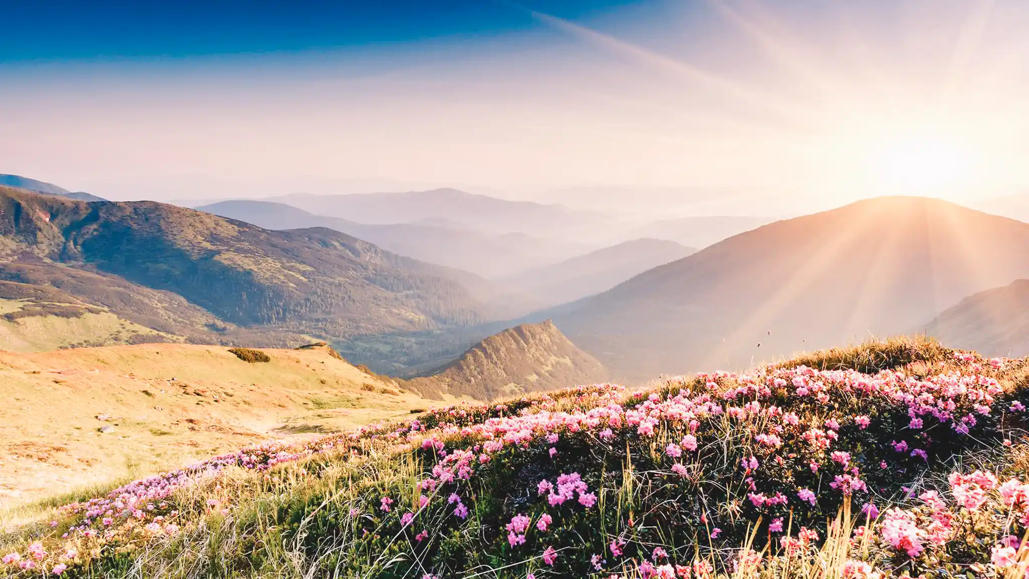 paysage montagne Auvergne